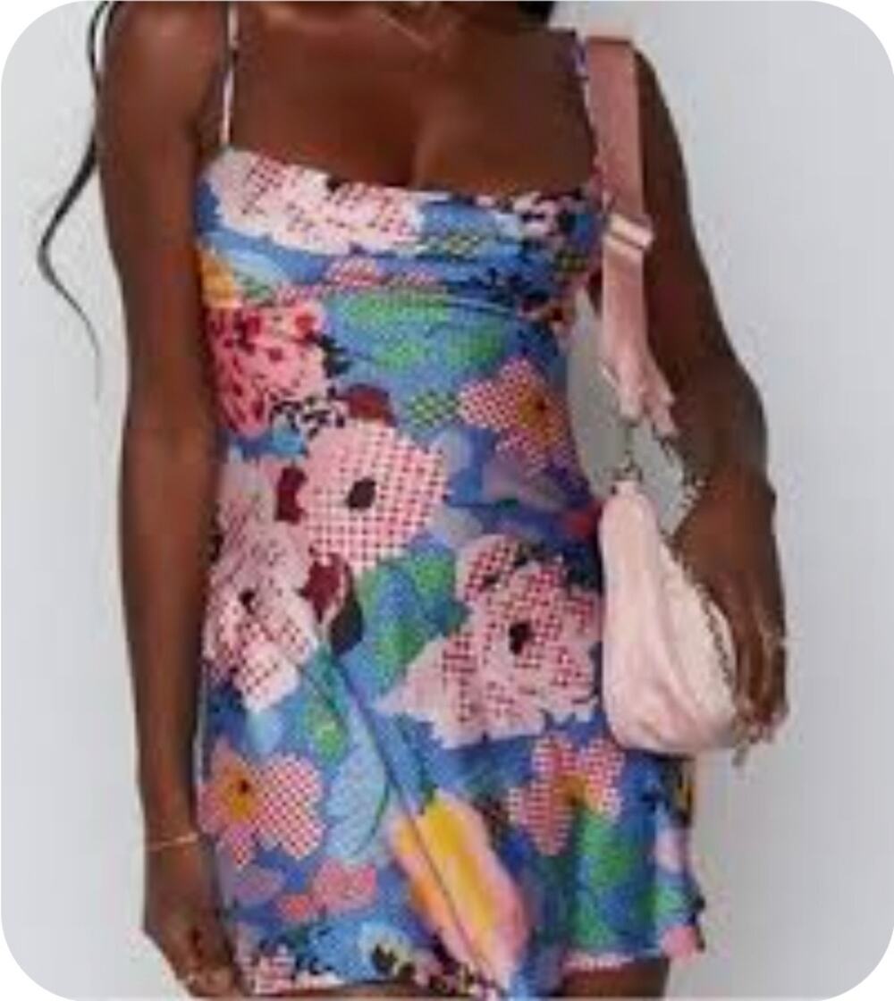 Princess Polly dress size 4